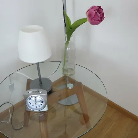 Bodensee Luxus Ferienwohnung Claudia 3 * Φριντρισχάφεν